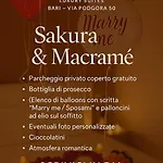 Lejlighed Zenith - Luxury Bari